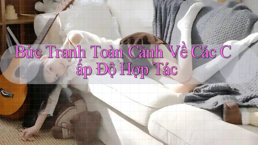 Bức Tranh Toàn Cảnh Về Các Cấp Độ Hợp Tác Bức Tranh Toàn Cảnh Về Các Cấp Độ Hợp Tác